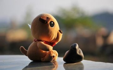 绿叶作文600字5篇