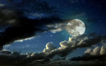 除夕之夜的作文参考5篇