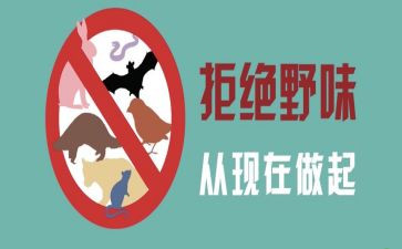 关于野味的演讲稿5篇