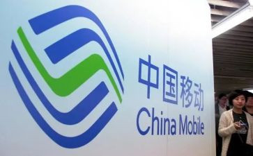 移动试用期工作总结8篇