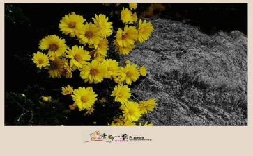 村一季度工作总结参考8篇