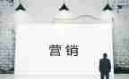 营销的个人工作总结5篇