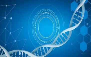 医学技术实习心得体会6篇