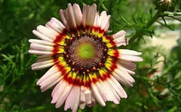 瞬间和永恒的作文7篇