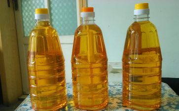 加油的演讲稿参考6篇