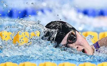 游泳教练的工作总结8篇