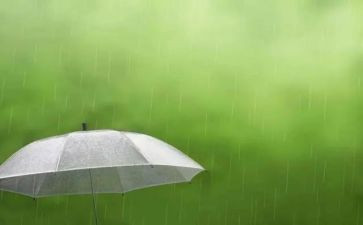 关于雨的演讲稿300字8篇