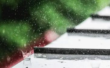 春雨幼儿活动教案5篇