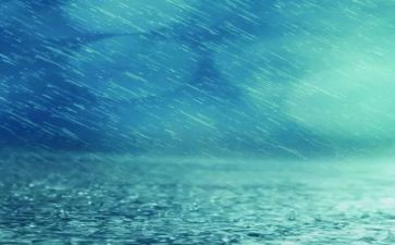 在雨中的作文模板7篇