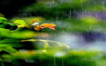 雨水管安装合同6篇