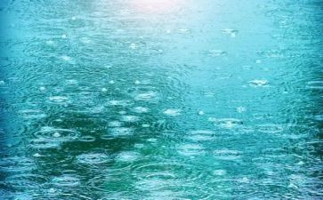 关于雨的调查报告范文参考6篇