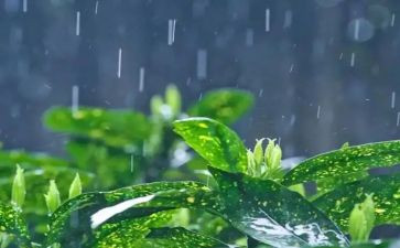 下春雨啦小班教案7篇