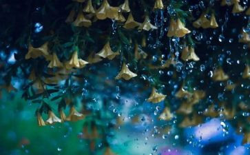 《英雄雨来》读后感优秀8篇