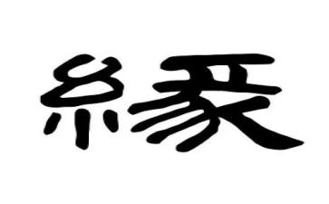 生命缘演讲稿参考8篇