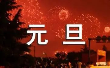 学生作文元旦节8篇