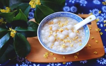祖父的园子读后感读后感7篇