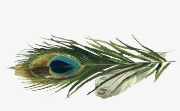 羽毛球活动策划7篇