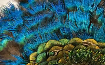 羽毛球社团活动策划7篇