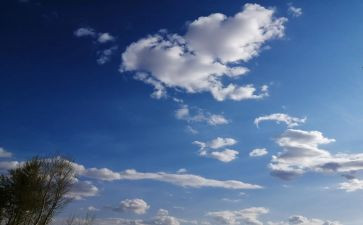 云财务工作计划模板8篇