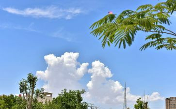 云胶公司工作总结7篇