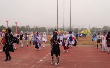 北京奥运会心得体会5篇