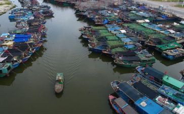 渔业半年工作总结6篇