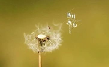 写再见2024的作文优质5篇