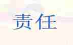 村书记主体责任述职报告5篇
