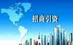 局招商工作总结参考8篇