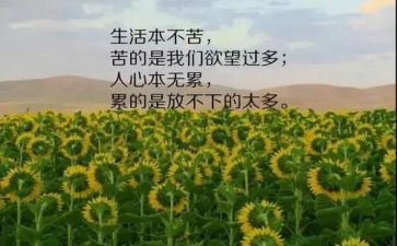 写人生哲理的作文参考5篇