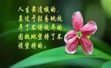 写人生哲理的作文通用5篇