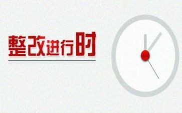 2024年医保整改报告推荐5篇