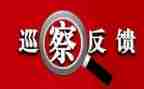 2024小学自查整改报告范文6篇