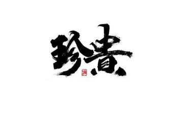 珍贵记忆的作文精选5篇