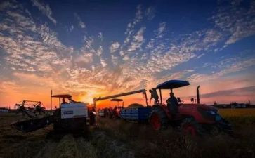 语言《有朋友真好》教案7篇