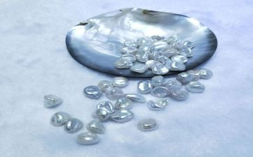 黑珍珠读后感600字5篇