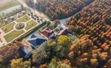 超载超限治理工作总结6篇