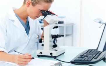 技术质量工作年度总结6篇