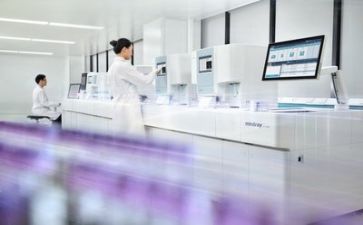 2024年质量个人总结5篇