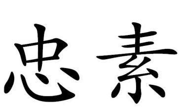 忠犬八公读后感通用6篇