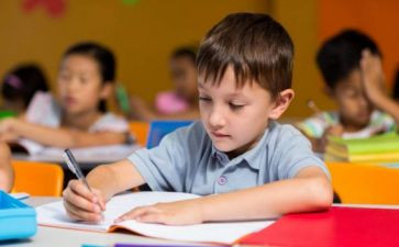 幼儿园的中班保育工作总结精选6篇