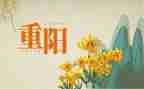 重阳节活动方案幼儿园策划最新6篇