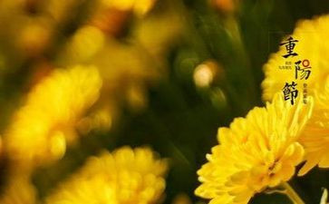 策划重阳节活动方案7篇