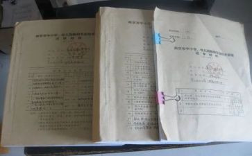 做资料的工作总结参考8篇