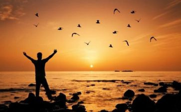 财务自由之路1读后感7篇