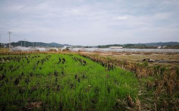 房屋铺面租赁合同7篇
