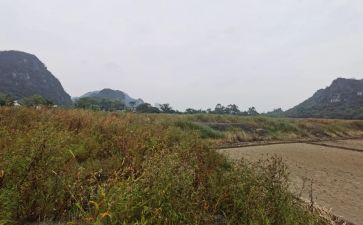 房屋分租赁合同模板推荐5篇
