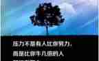 座右铭作文500字精选8篇